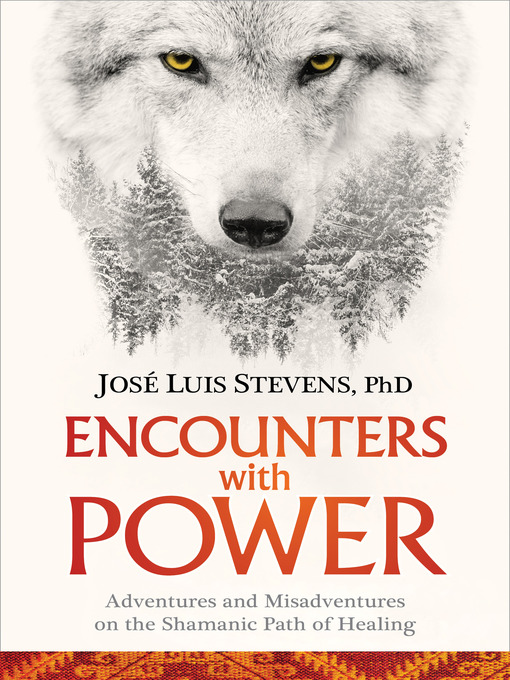 Title details for Encounters with Power by José Luis Stevens, Ph.D. - Available